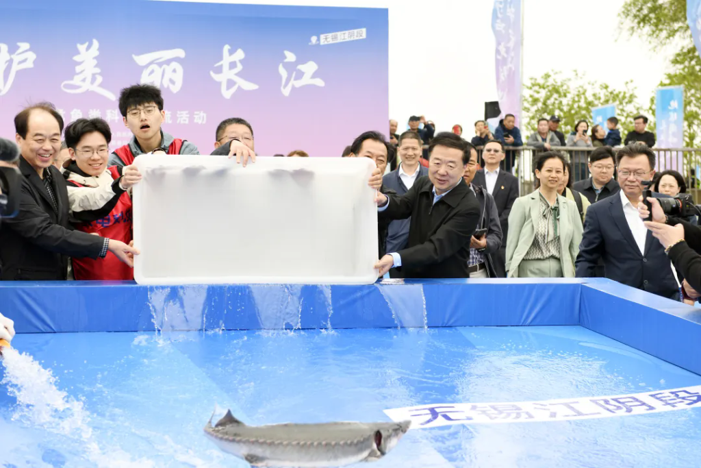 世界地球日，長江邊又放流啦！